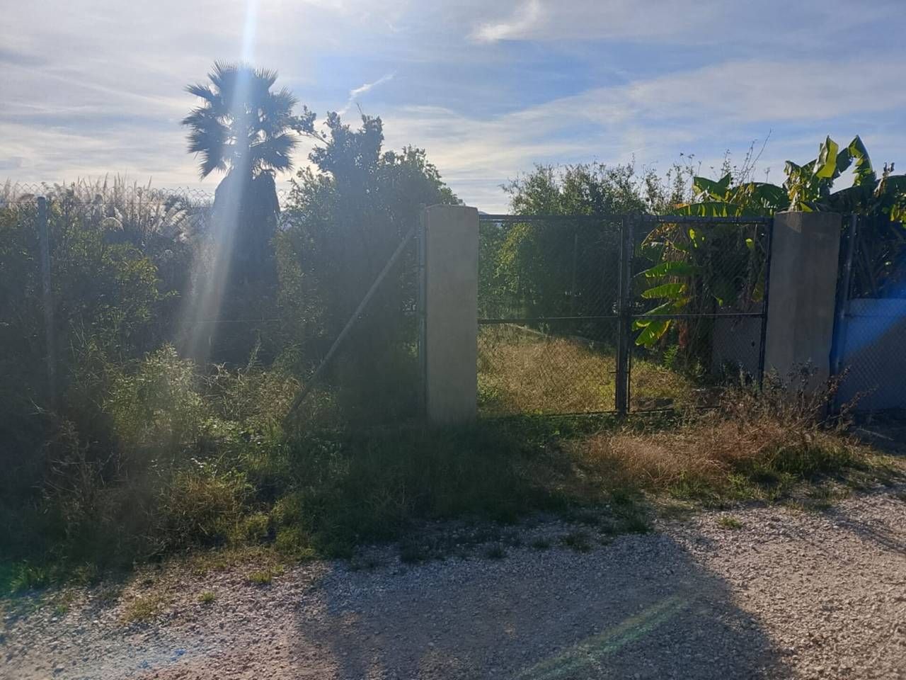 Terreno en venta en Oliva