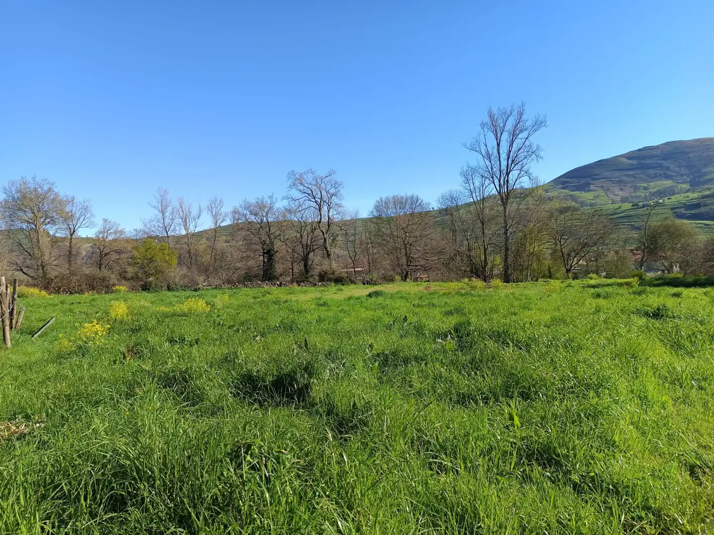 Terreni e lotti in vendita a Selaya - LA MIES, imagen 4