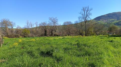 Photo 4 of Residential for sale in Selaya - la Mies, Villacarriedo, Cantabria