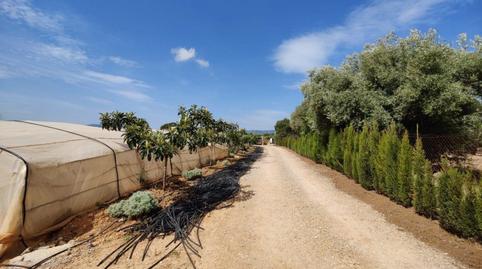 Foto 3 de Finca rústica en venta en San Rafael del Río, Castellón