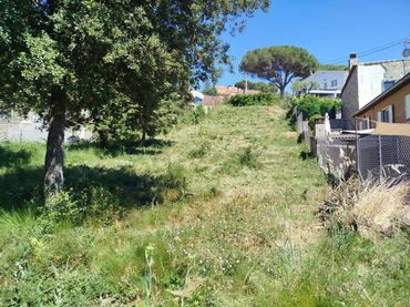Terreno rustico in vendita a Calle Mar