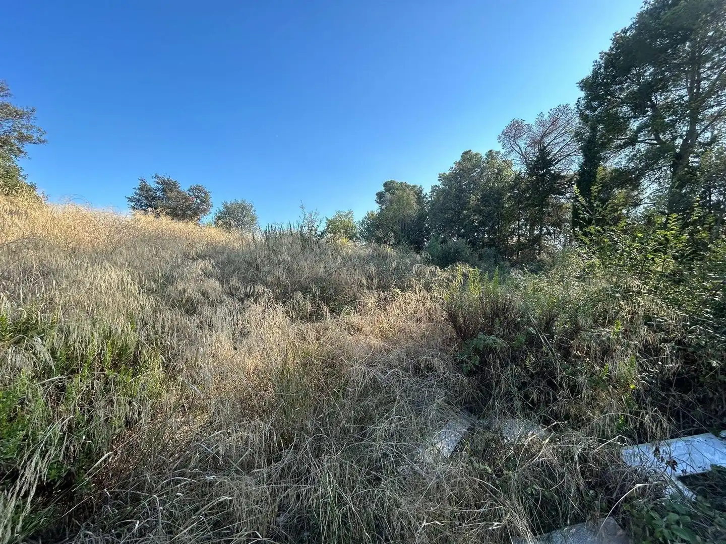 Terrain résidentiel à vendre à Carrer CEDRE, imagen 10