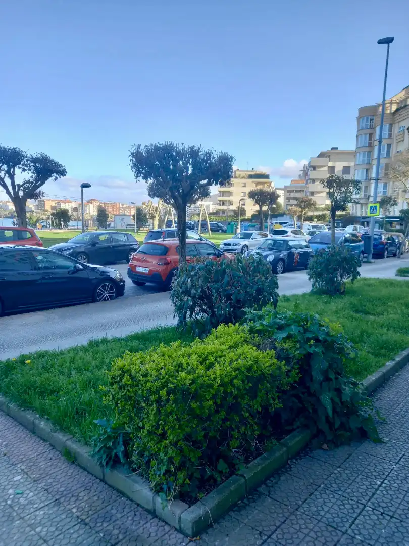 Local comercial en venta en Calle Padre Basabe, imagen 4