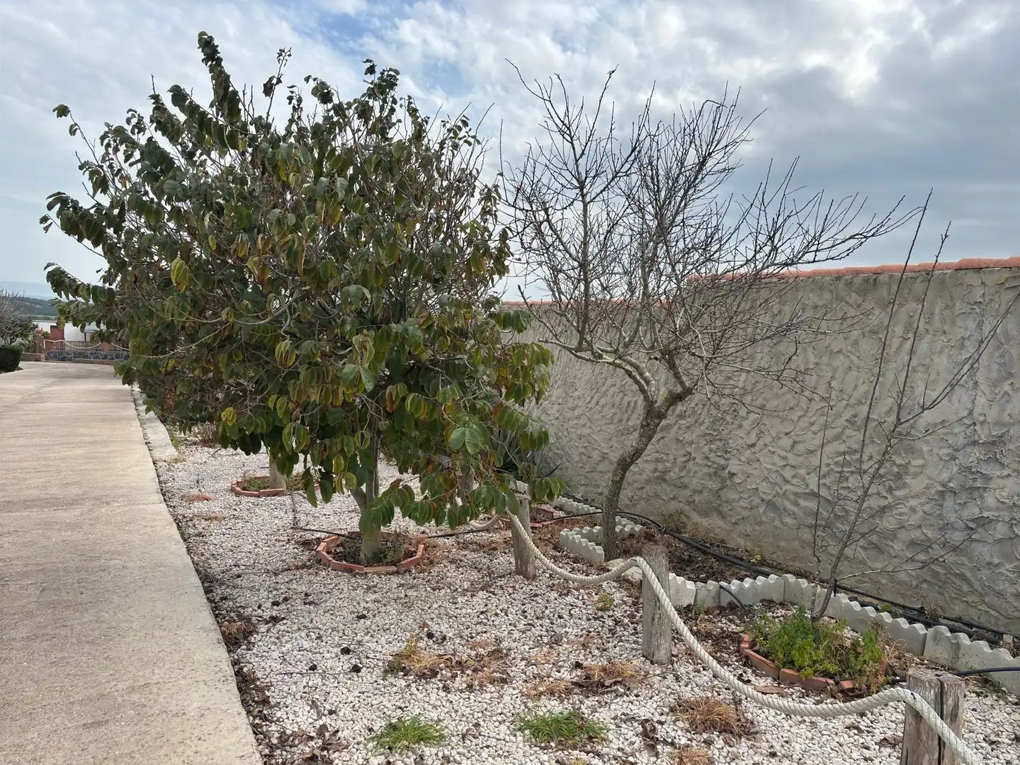 Casa rústica amb jardí en venda a Vejer, imagen 24