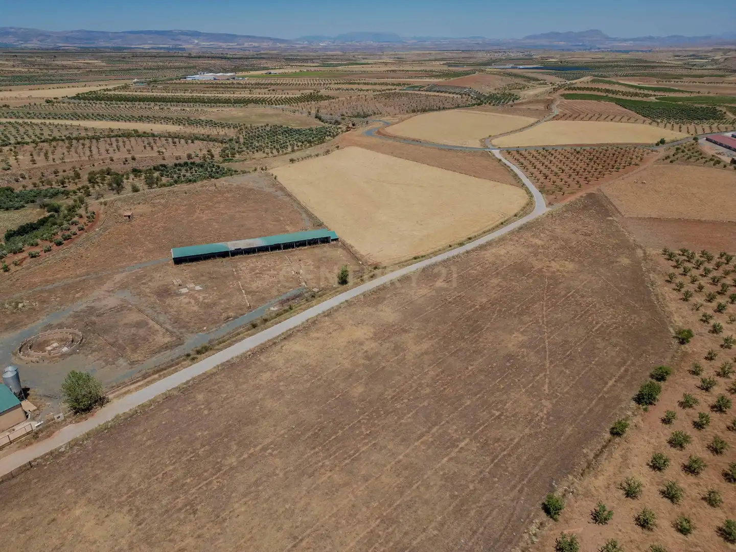 Terreno en venta en Cogollos de Guadix