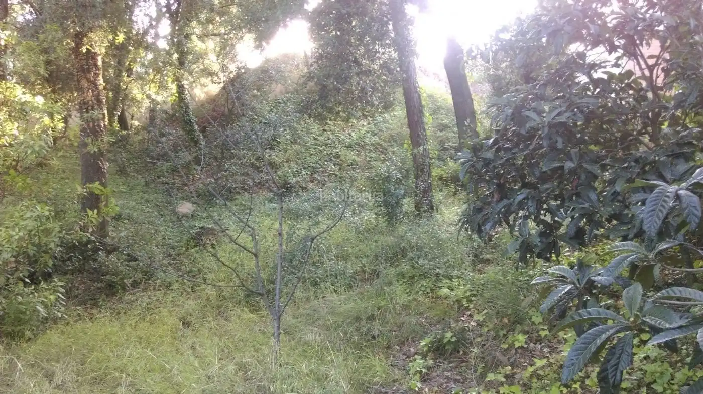 Terreno residencial en venta en BP-5107 136, imagen 2