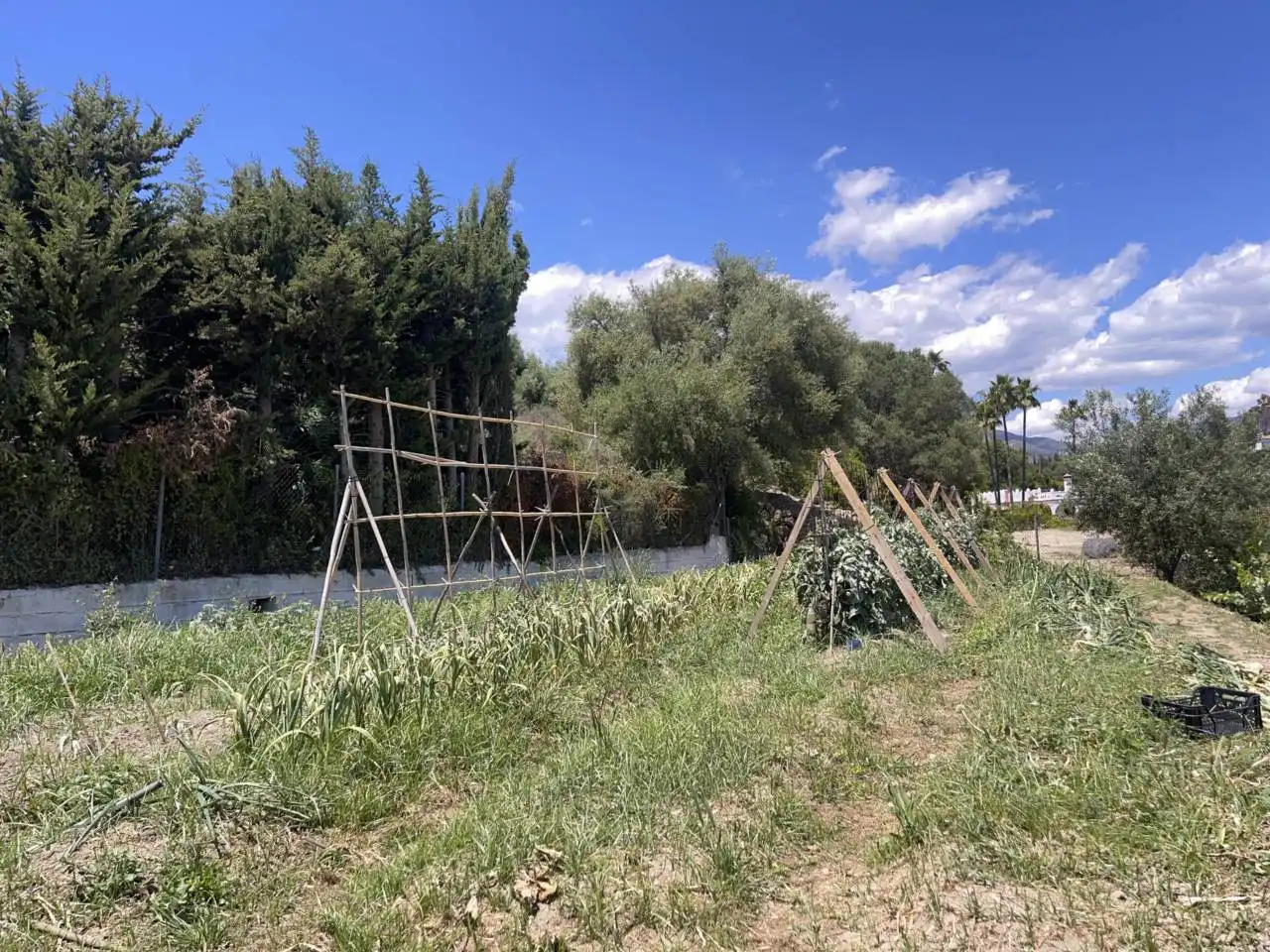 Finca rústica en venda en Estepona amb Aire condicionat, Calefacció i Jardí privat