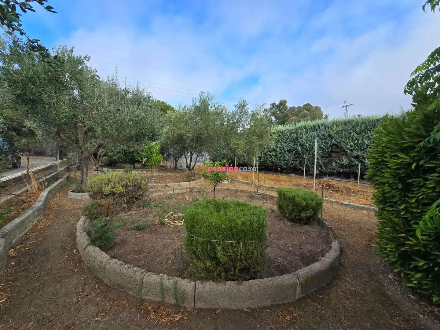 Detached house with pool for sale in Alcaracejos, imagen 10