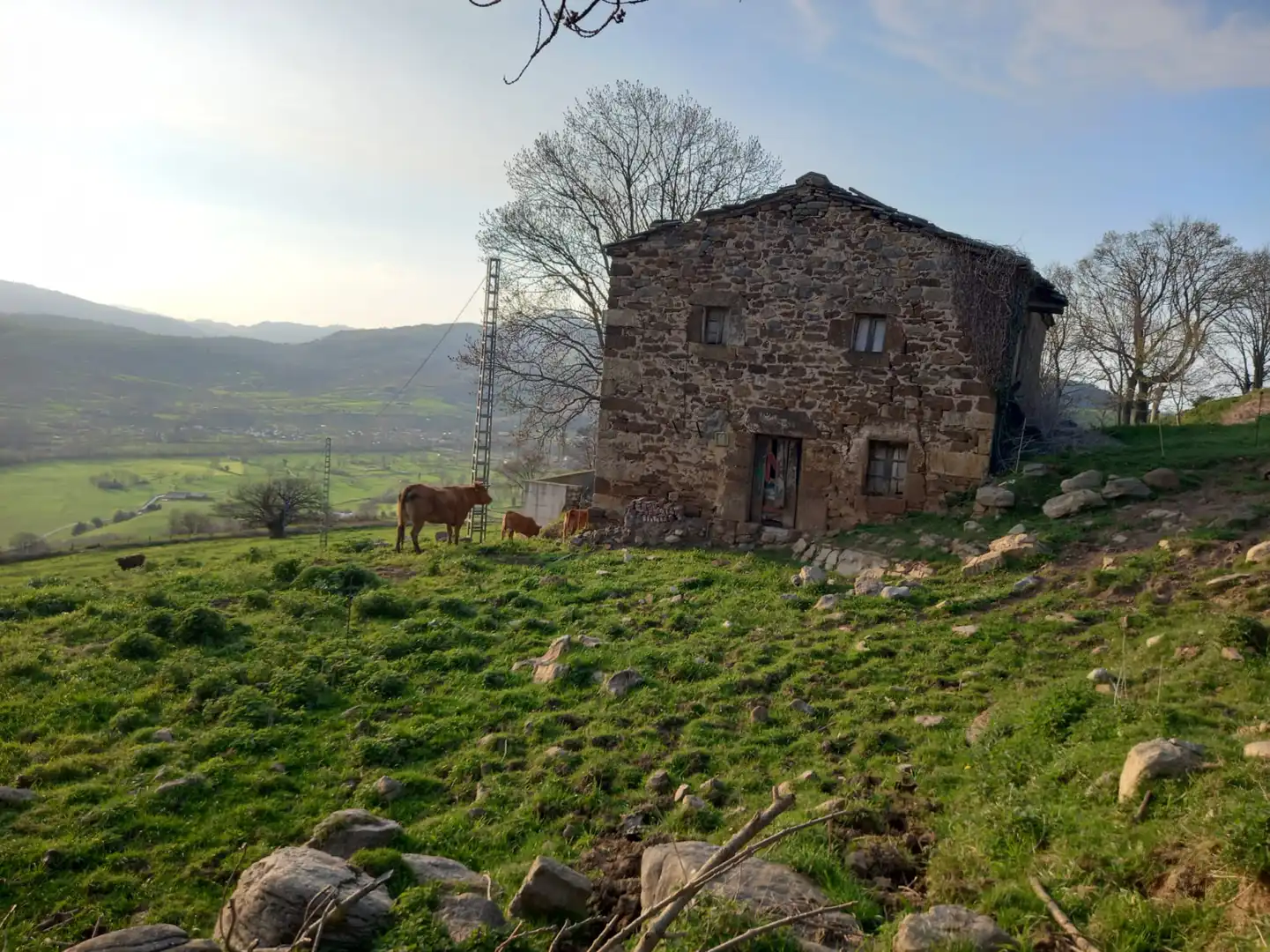Exterior view of Land for sale in Villacarriedo