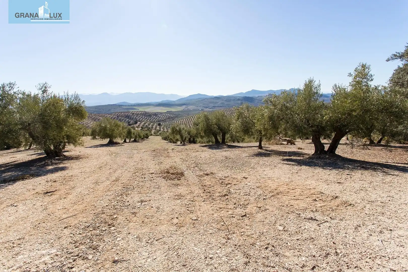 Land for sale in Campotéjar