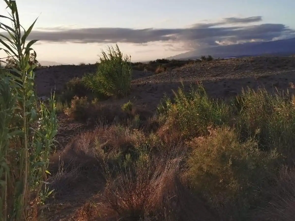 Terreno rustico in vendita a Camino LOS HUERTOS, imagen 11