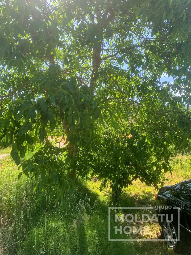 Terreno en venta en Belascoáin