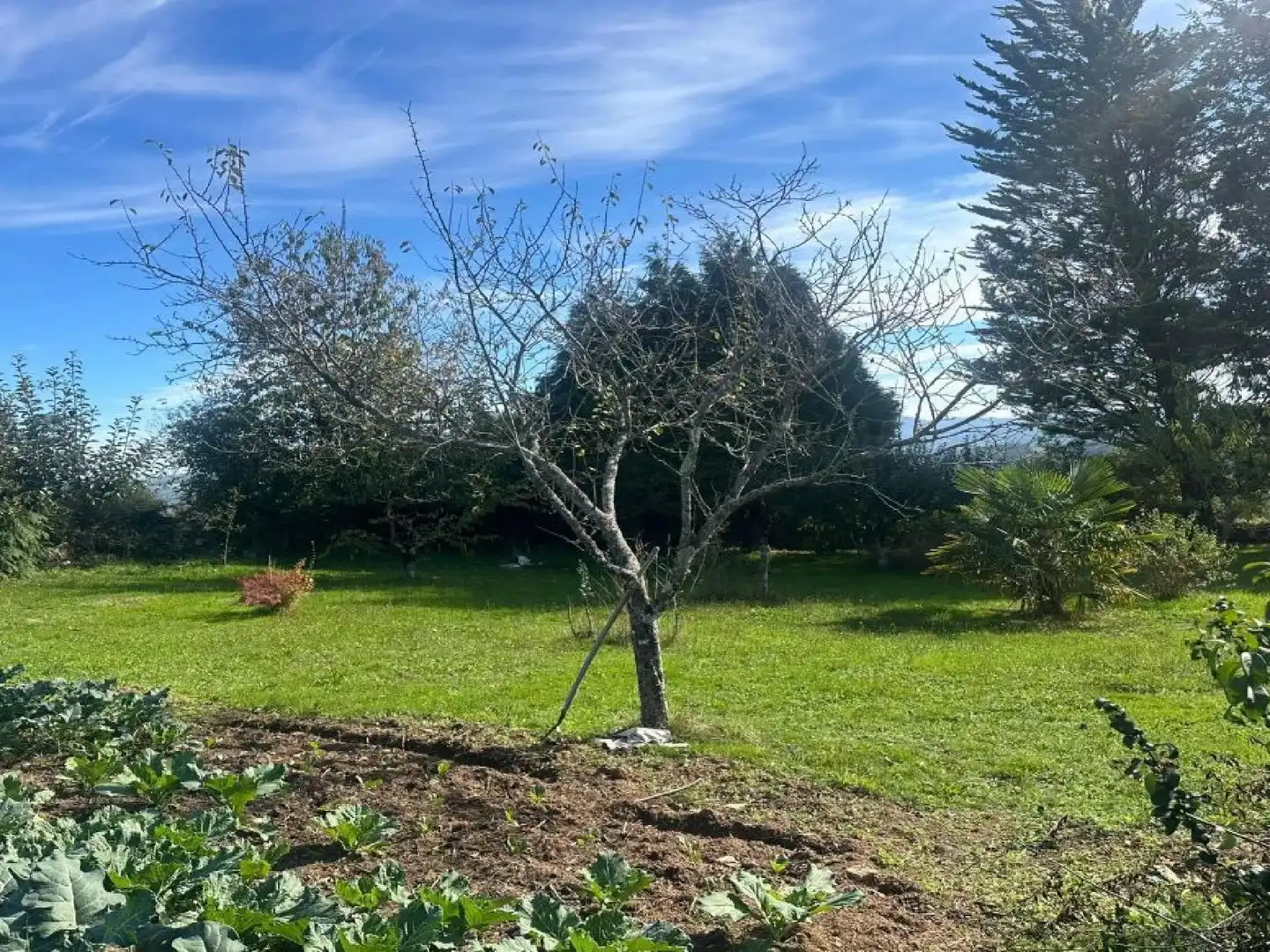 Maison avec jardin à vendre à Lalín, imagen 40