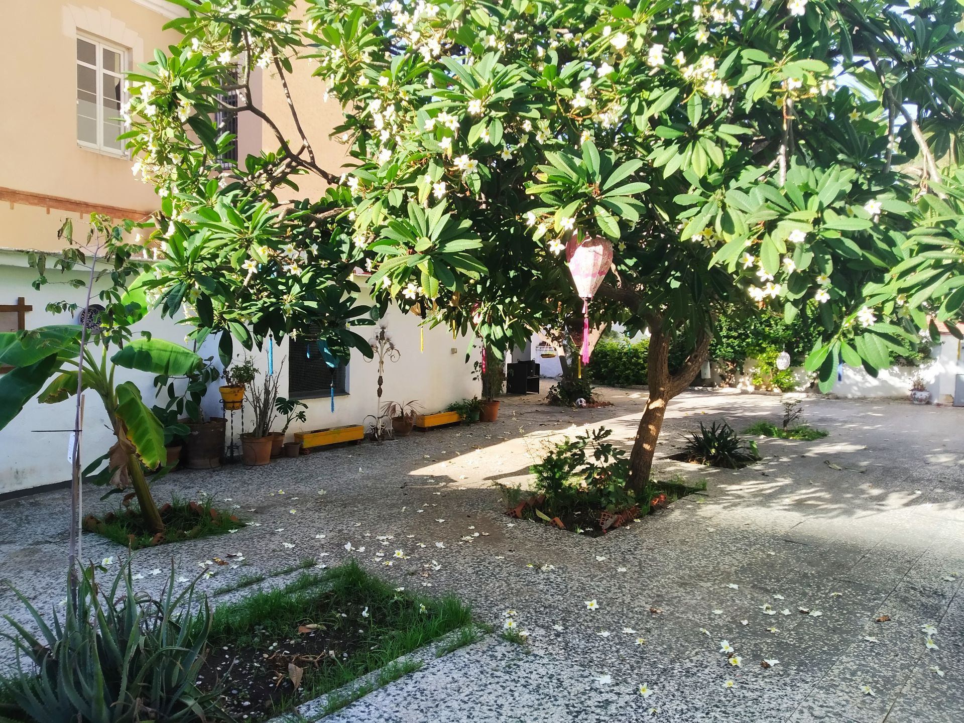 Jardí de Casa o xalet en venda en Málaga Capital amb Aire condicionat, Terrassa i Traster