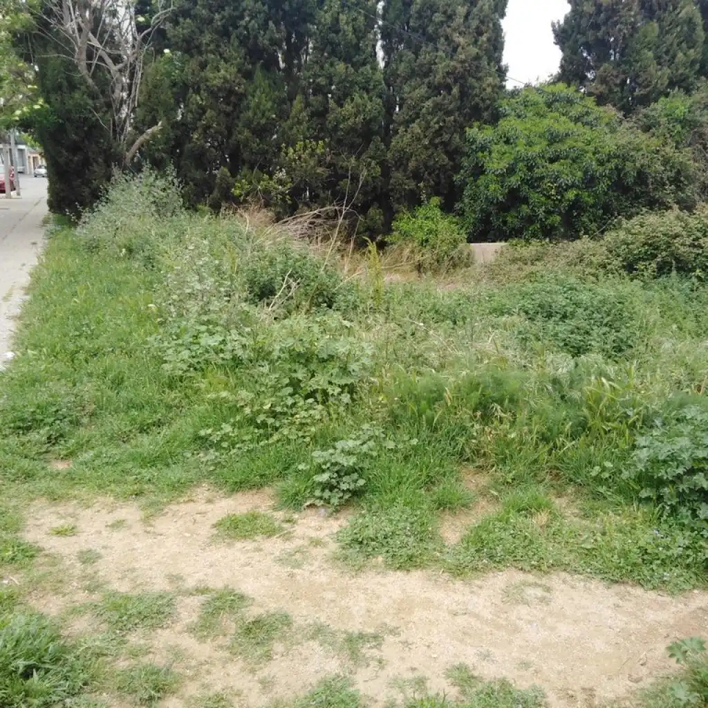 Rural land for sale in PUNXA, imagen 8