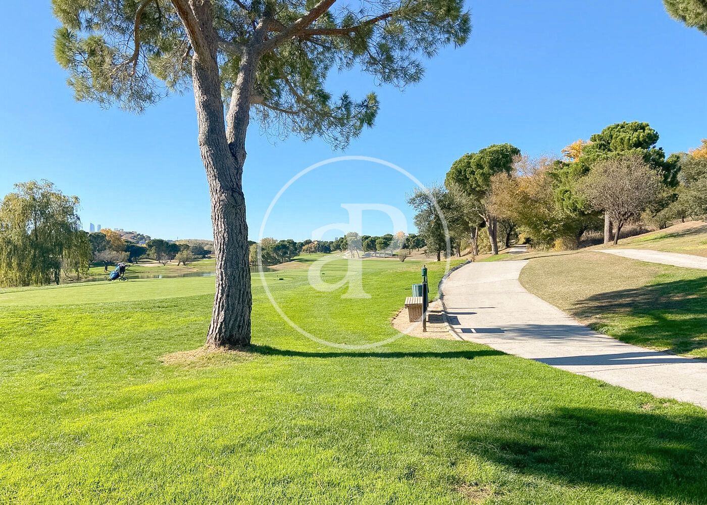 Vista exterior de Casa o xalet en venda en La Moraleja amb Aire condicionat, Calefacció i Jardí privat
