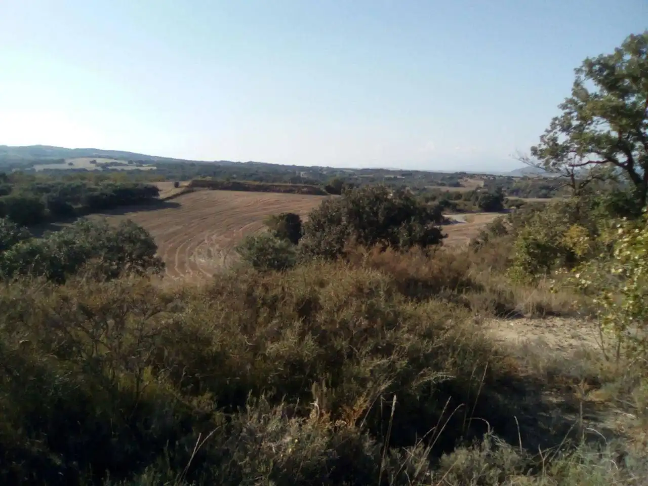 Terreni e lotti in vendita a Poligono 9, imagen 2