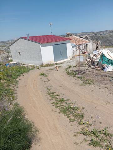 Terreno en Venta en Diseminado Nogalte, 63 en Nogalte
