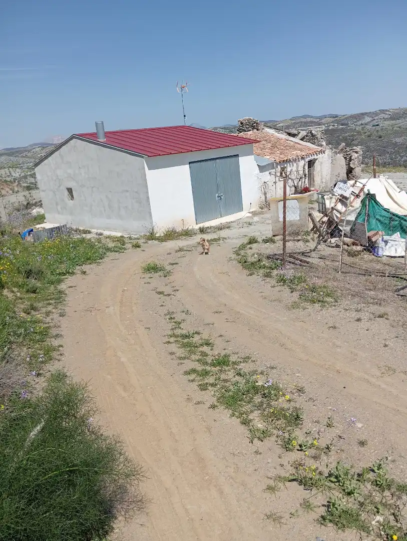 Terreno rustico in vendita a Diseminado Nogalte 63