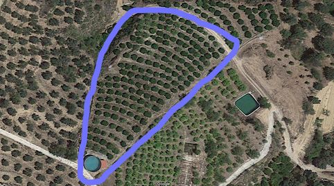 Finca Rúst. en venta en El Valle., immagine 4