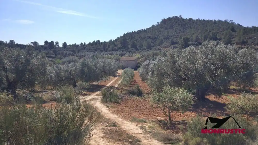 Terrain rustique à vendre à Riba-roja d'Ebre, imagen 4