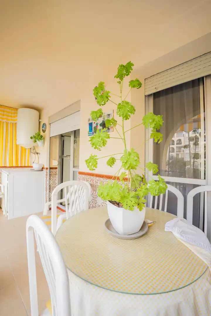 Piso con terraza en venta en Puerto Deportivo, imagen 43