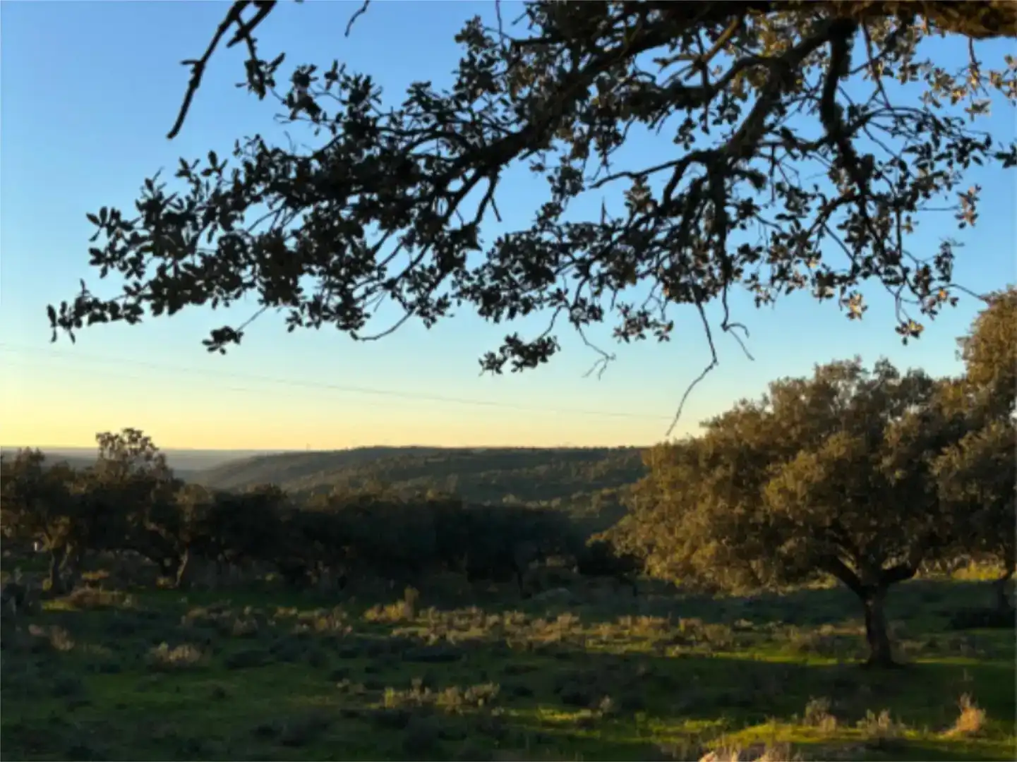 Vista exterior de Finca rústica en venda en Cáceres Capital amb Piscina