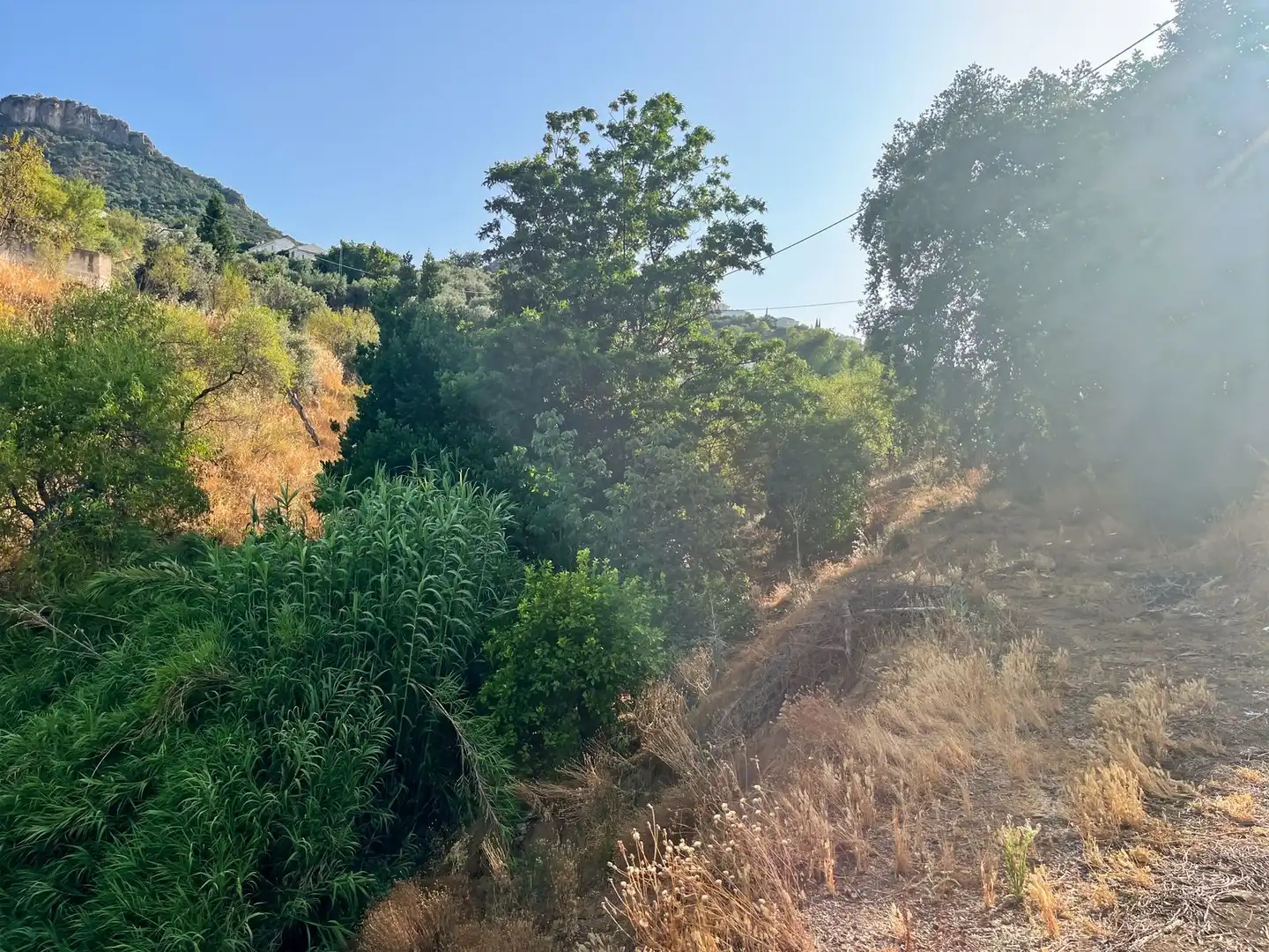 Country homes for sale in Comares