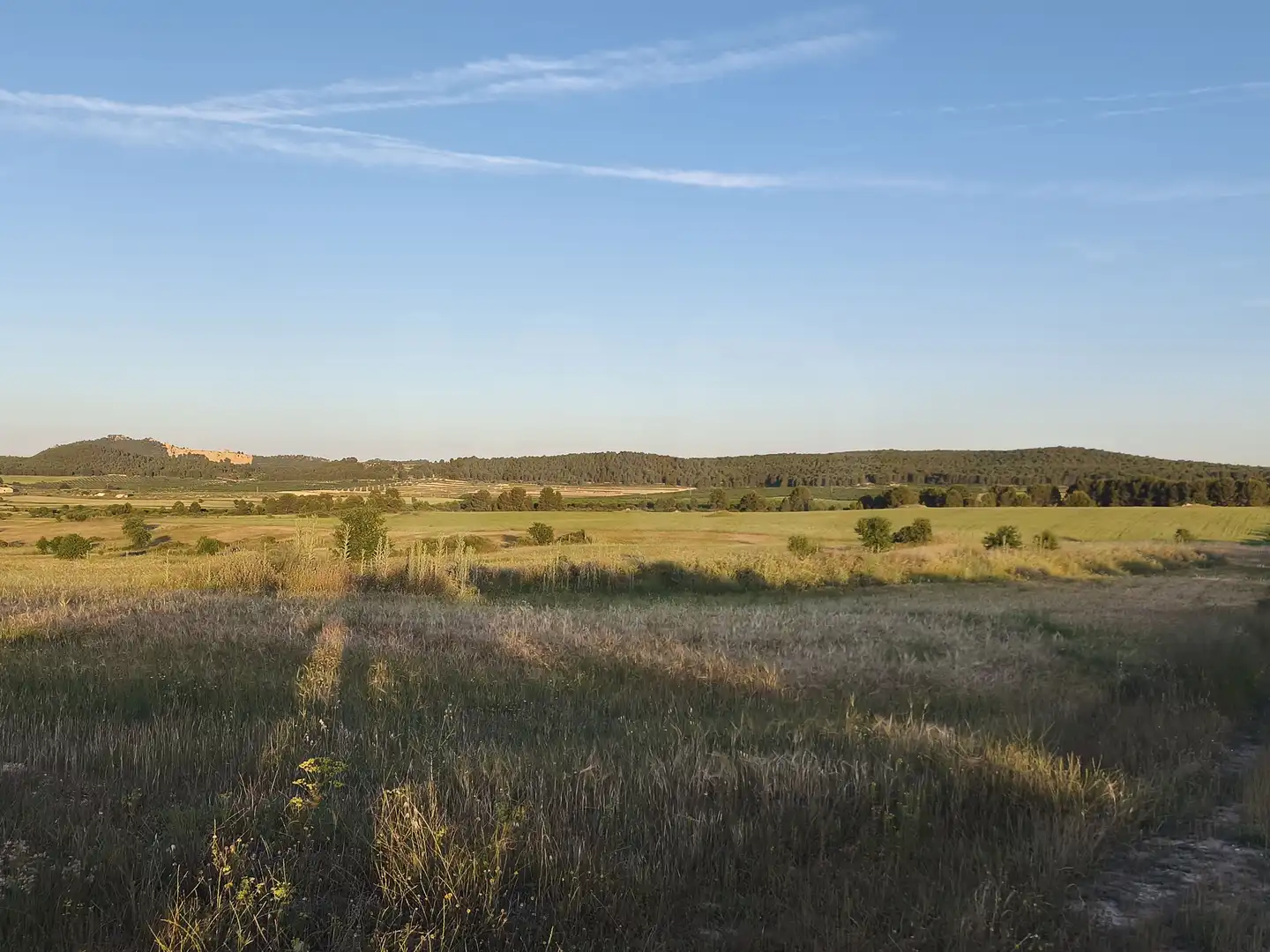 Terreno rustico in vendita a Moratalla, imagen 22