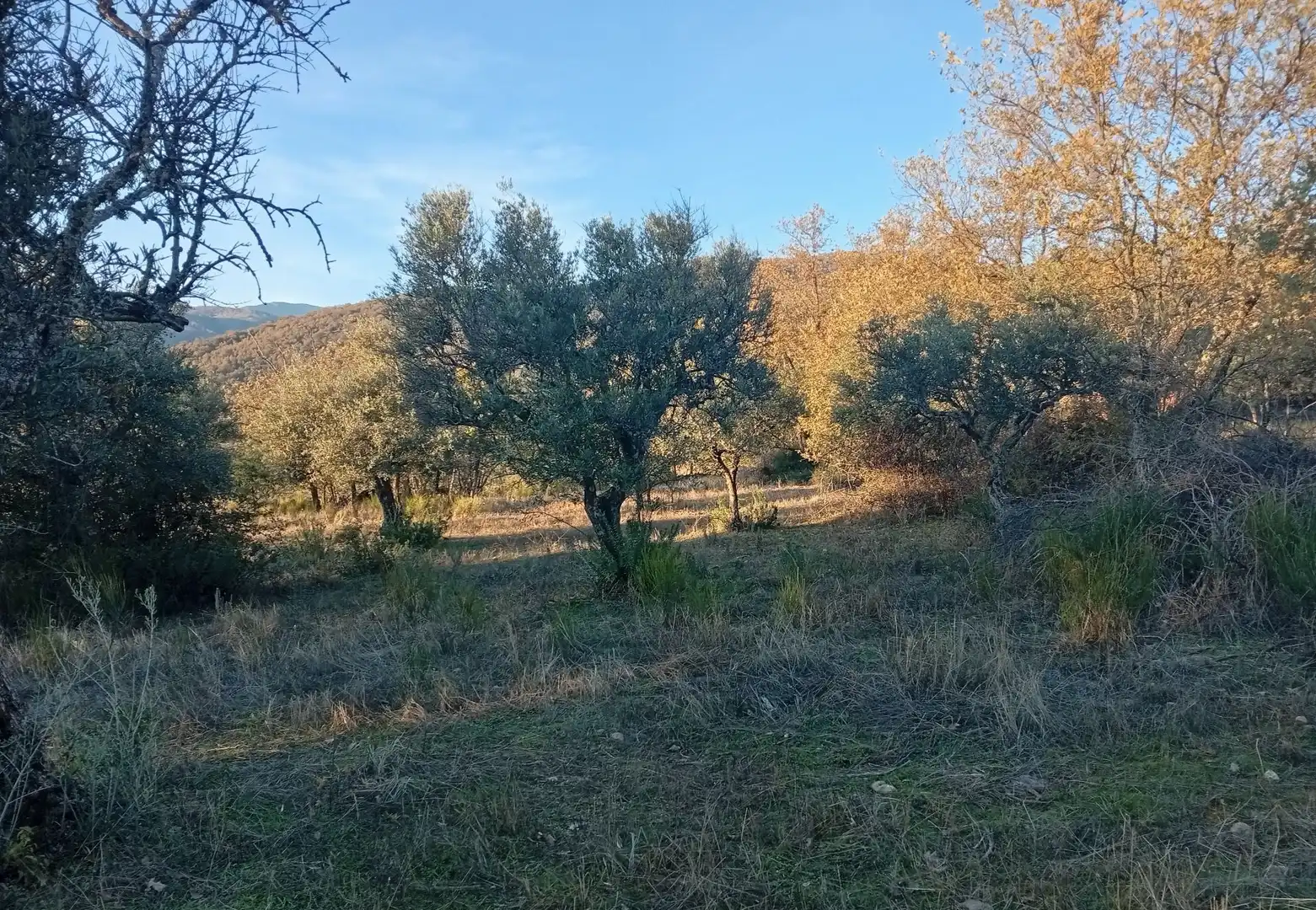 Terreni e lotti in vendita a Viandar de la Vera, imagen 26