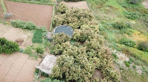 Photo 5 of Country house for sale in Camino Los Castañeros, Los Realejos pueblo, Los Realejos