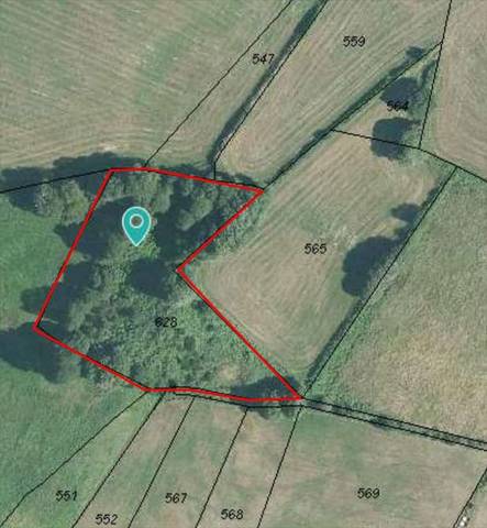 Terreno en Venta en Rodeiro