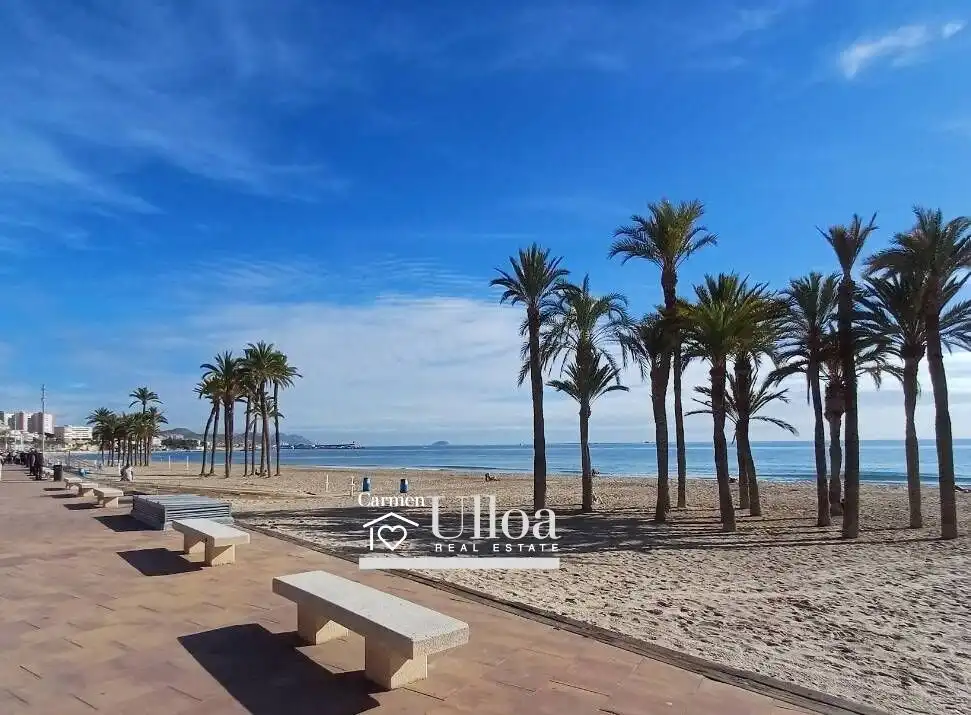 Apartament amb terrassa en venda a Platja de Vila Joiosa, imagen 18