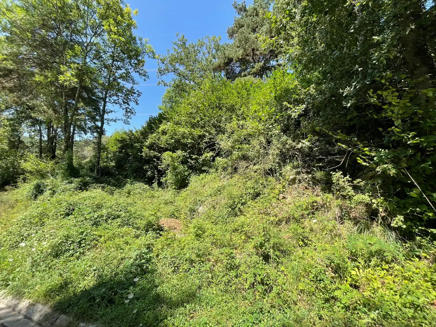 Terreno residencial en venta en Carrer de la Devesa Nova