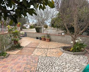 Garden of Country house for sale in Vejer de la Frontera  with Private garden and Storage room