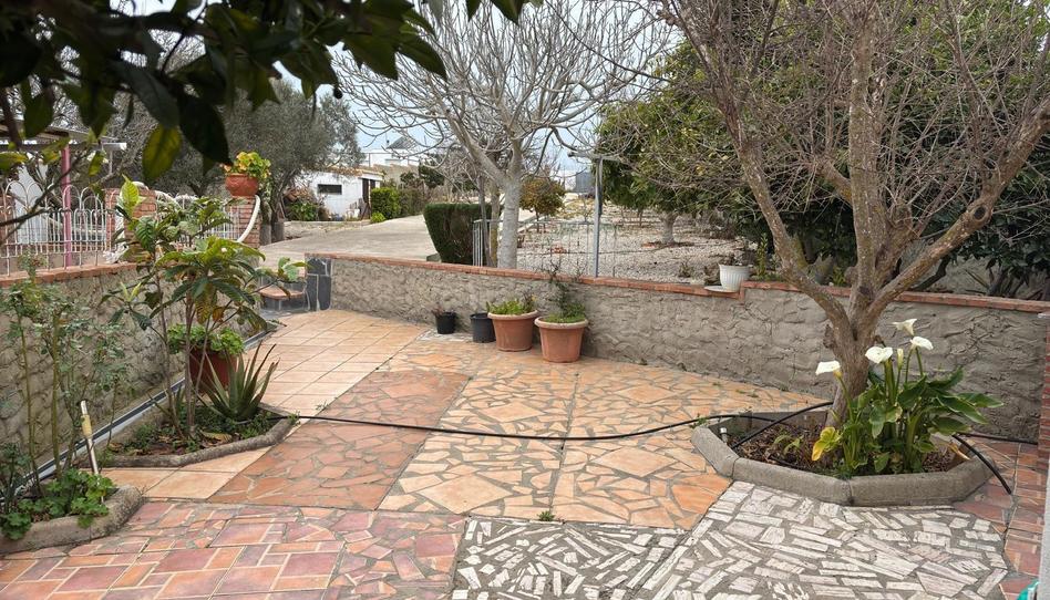 Photo 1 of Country house for sale in Vejer, Cádiz