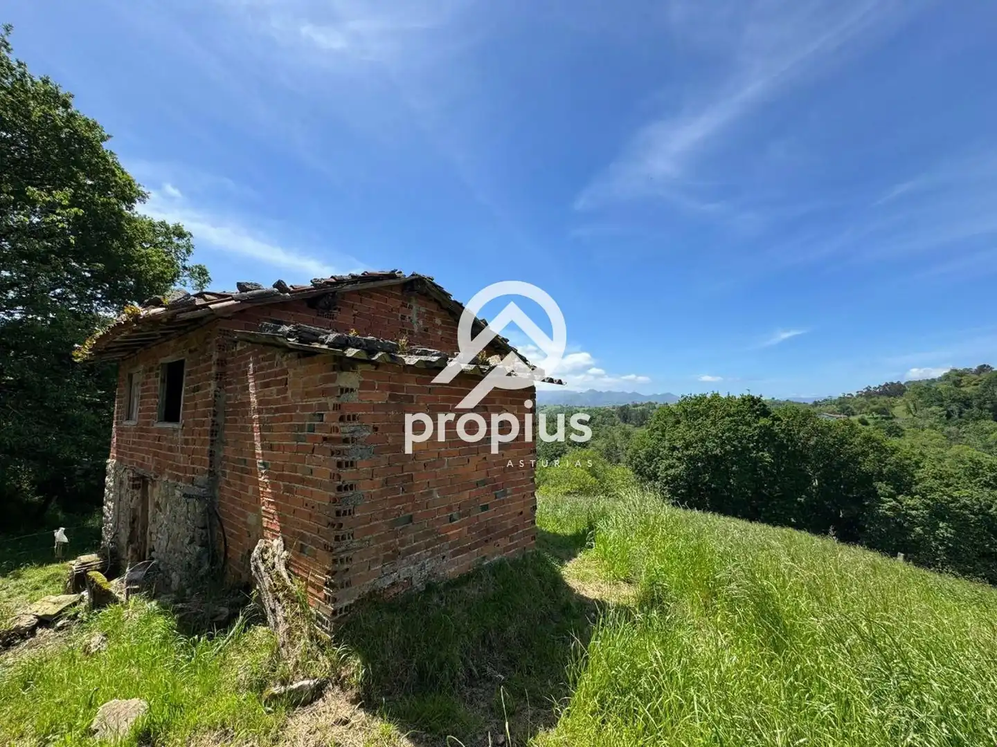 Rural land for sale in ARRIONDAS, imagen 8