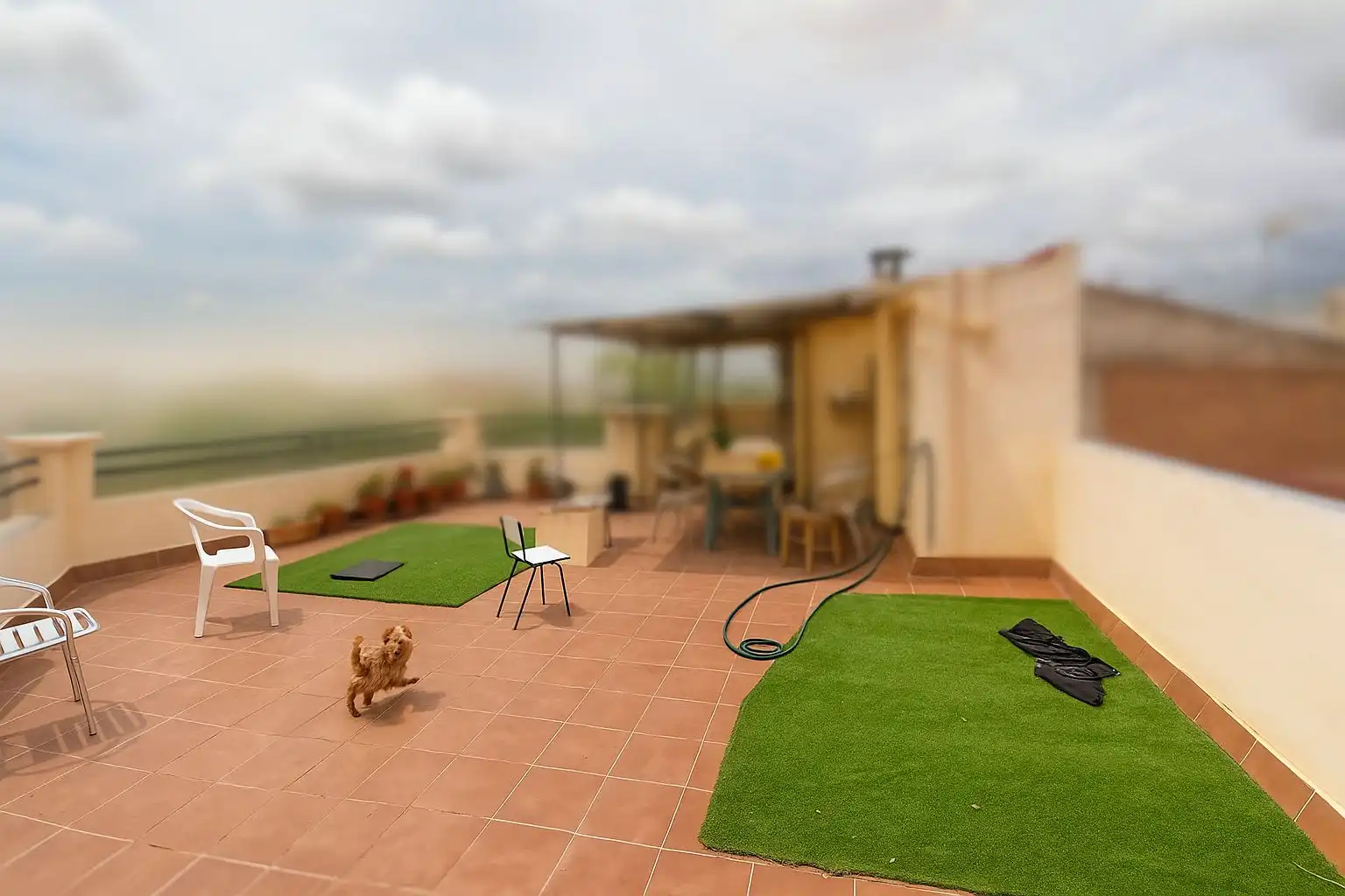 Garden of Houses for sale in Cornellà de Llobregat  with Terrace