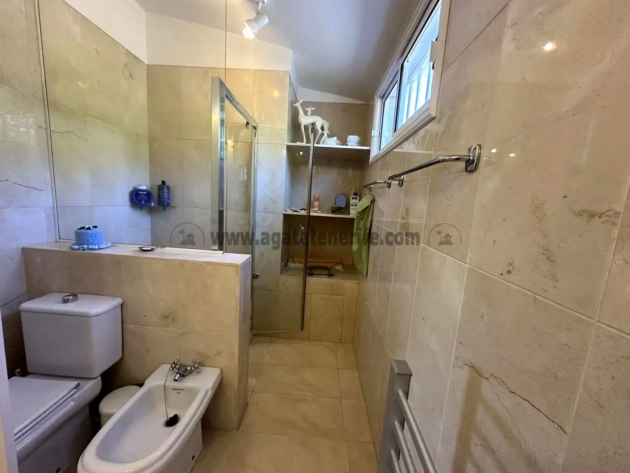 Houses for rent in Tegueste