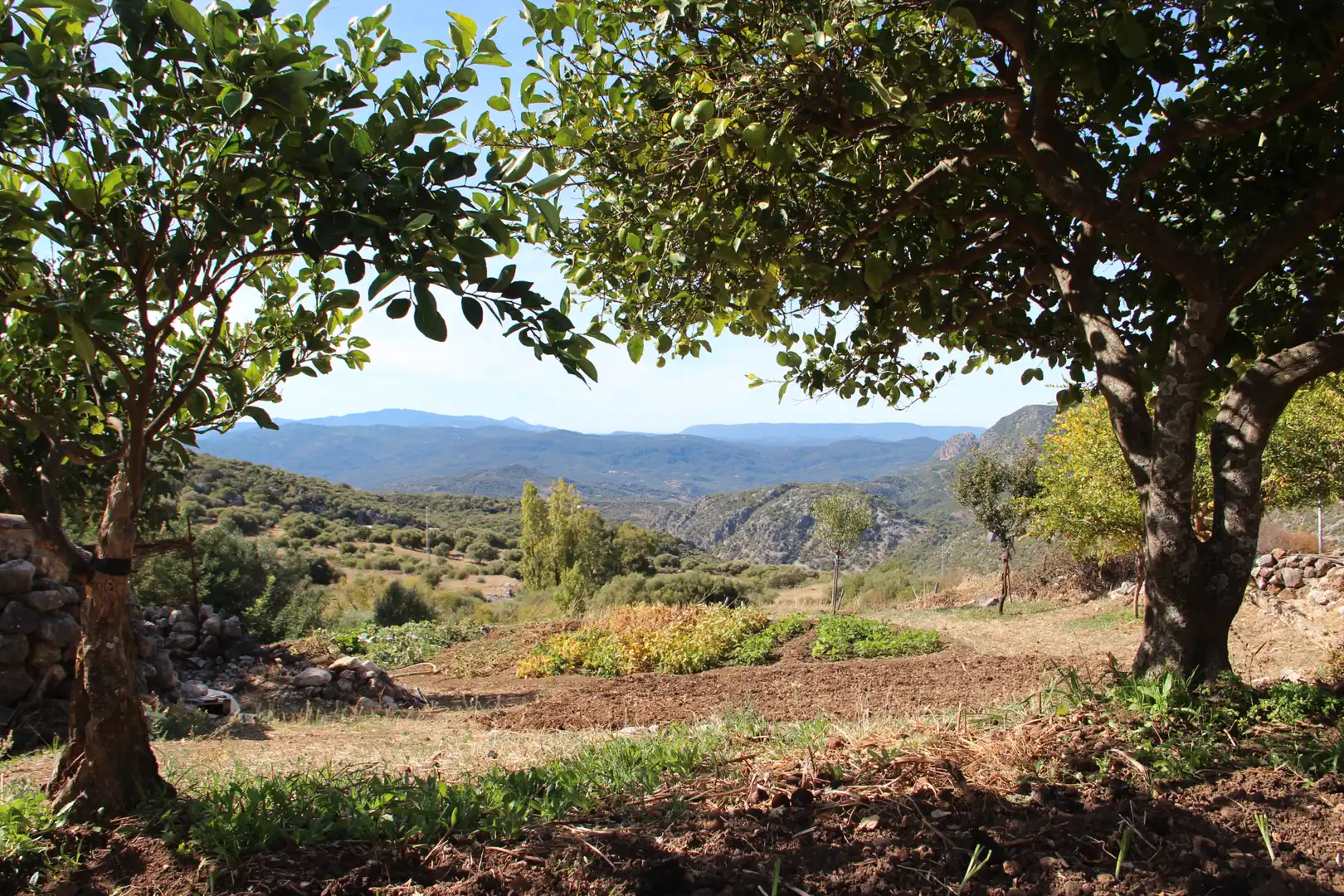 Casa o xalet en venda en Benaocaz amb Jardí privat, Terrassa i Traster