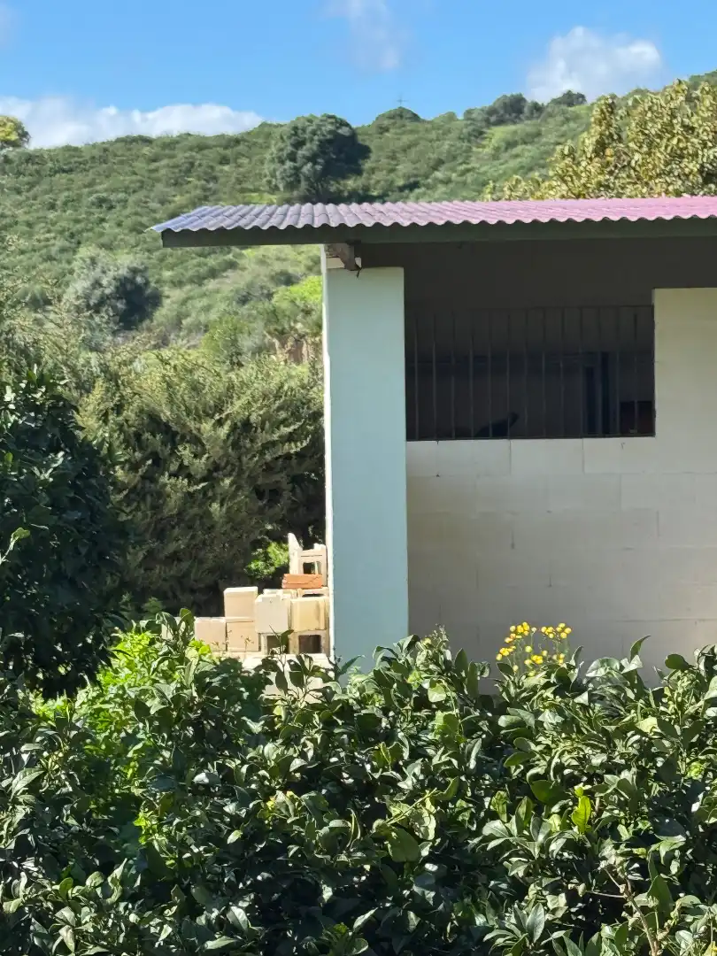 Exterior view of Land for sale in Algeciras