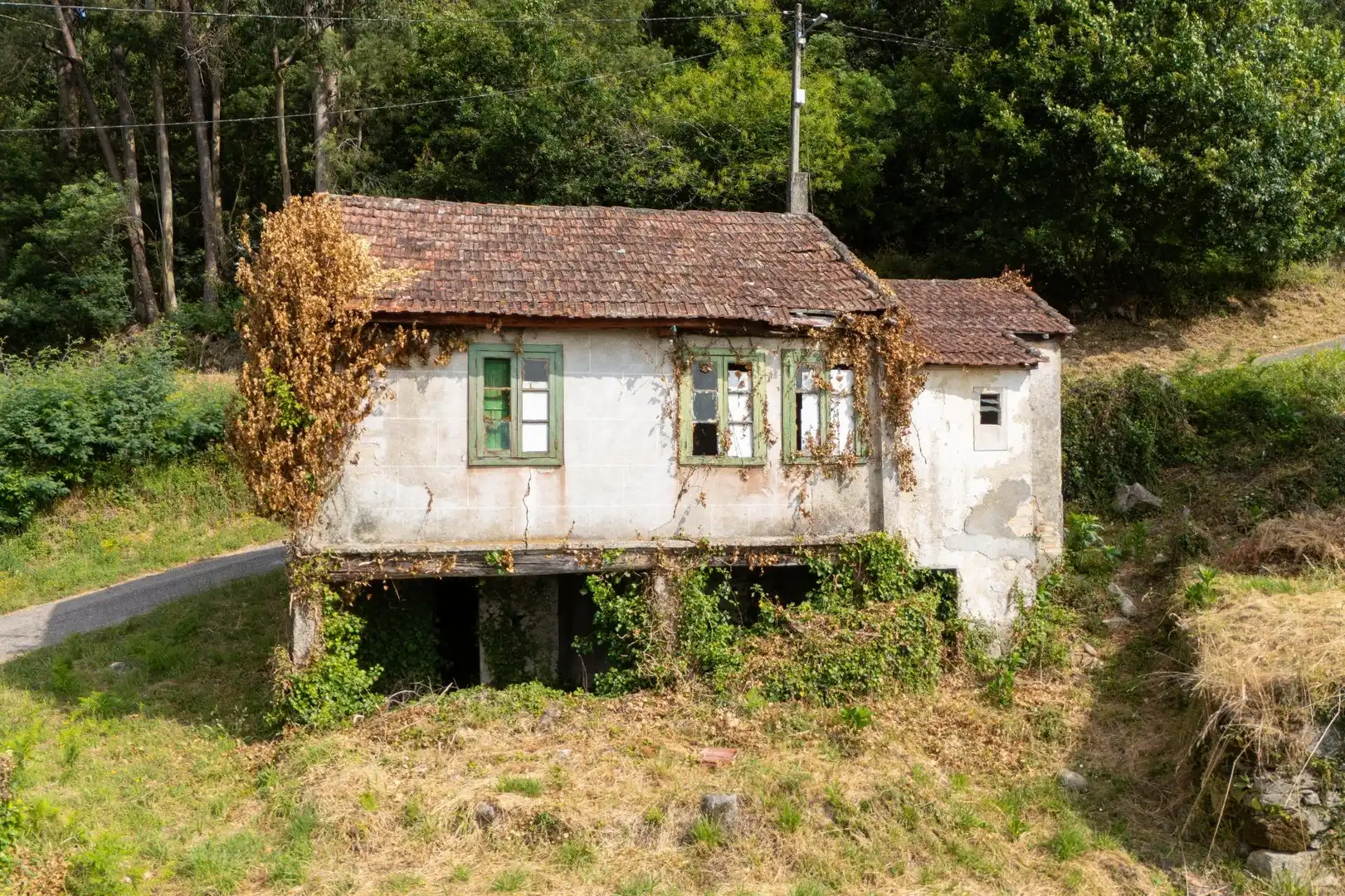 Vista exterior de Finca rústica en venda en Arbo amb Jardí privat
