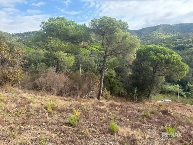 Terrenys i solars en venda a Calle CL HORT VELL, imagen 12