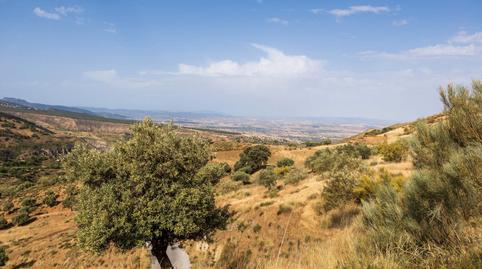 Photo 4 of Land for sale in Calle Emilio Aragon, 12, Monachil pueblo, Monachil