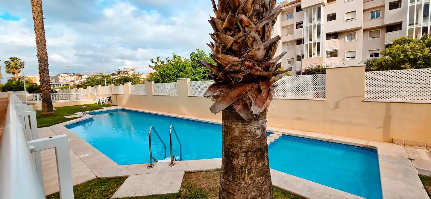 Swimming pool of Flat for rent in Alicante / Alacant  with Furnished and Community pool