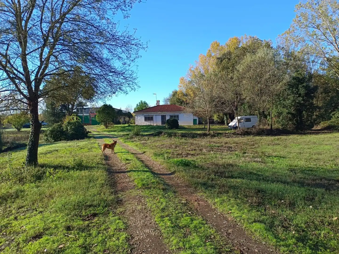 Finca rústica en venda en Talayuela amb Aire condicionat, Terrassa i Piscina