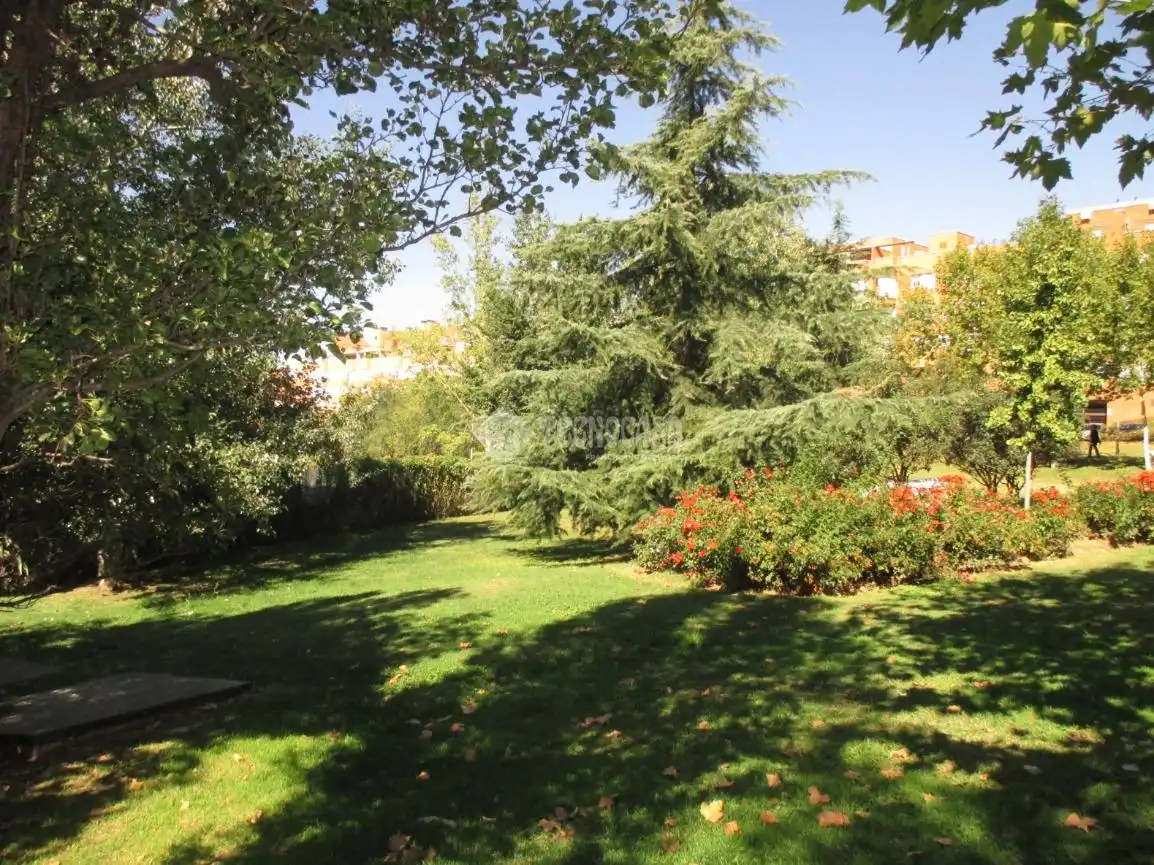 Jardí de Pis de lloguer en Madrid amb Aire condicionat, Calefacció i Parquet