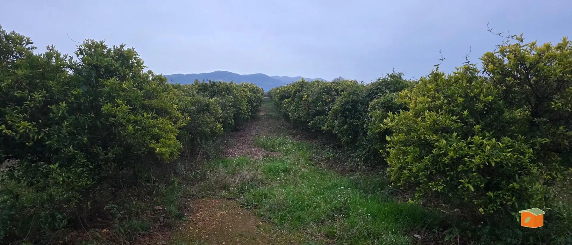 Rural land for sale in Masdenverge, imagen 6