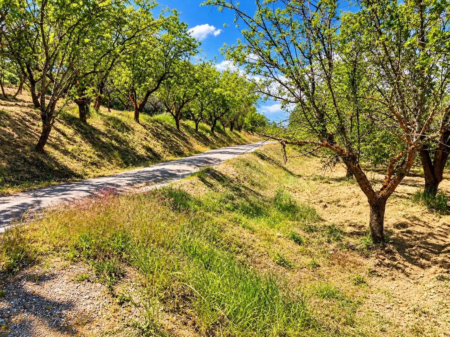 Maison rustique avec jardin à vendre à Carretera Fuente del Lobo Poligono, imagen 20