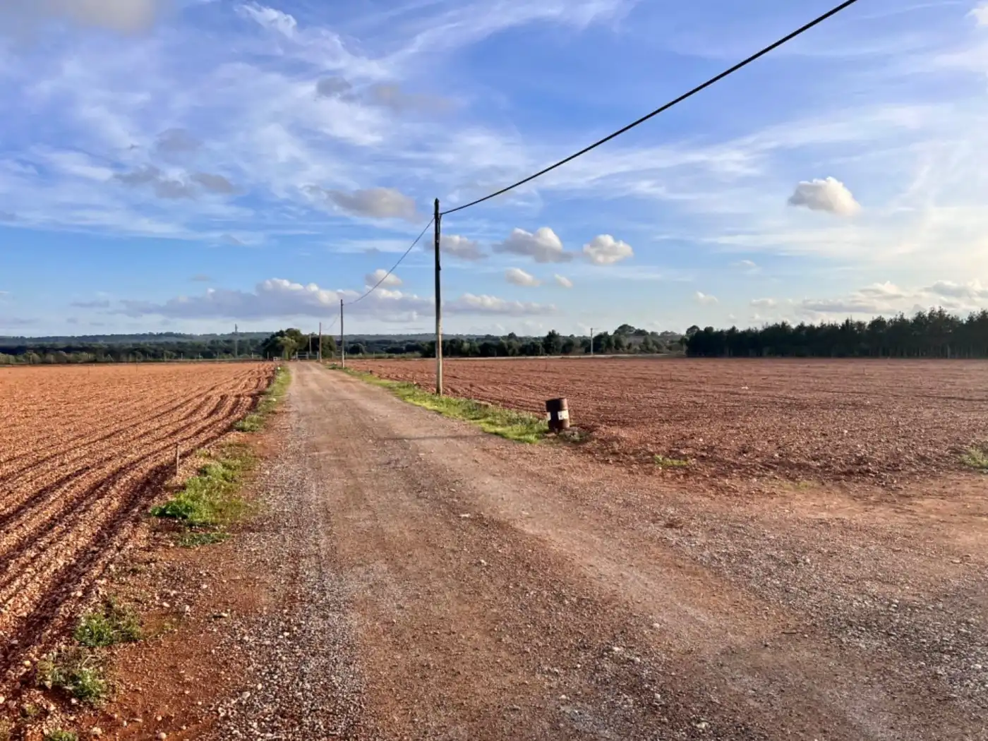 Casa rústica en venta en Llubí, imagen 3
